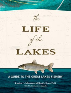The Life of the Lakes book cover