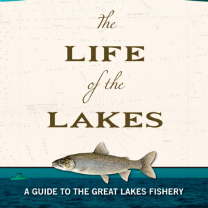 The Life of the Lakes book cover