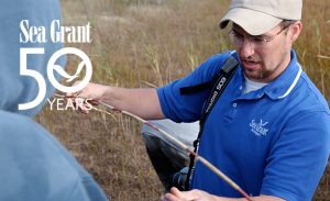 Brandon Schroeder examining a phragmites root