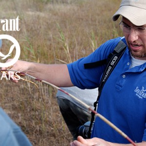 Brandon Schroeder examining a phragmites root