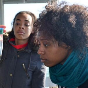 Examining plankton sample