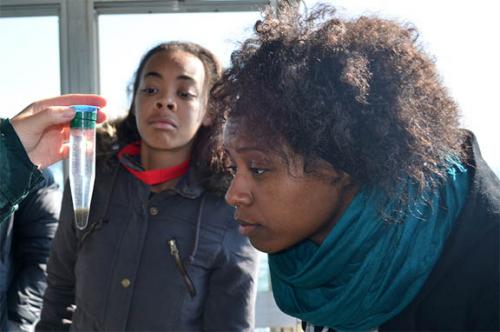 Great Lakes Education Program and Ypsilanti New Tech Team Up