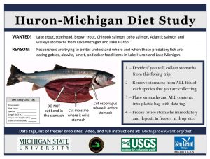 Huron Michigan Diet study poster