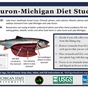 Huron Michigan Diet study poster
