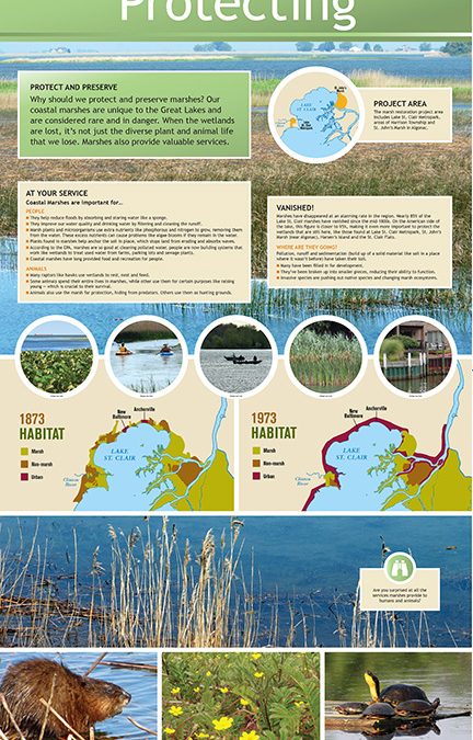 Impact: The Beauty of the Marsh — Michigan Sea Grant Connects People to Wetlands