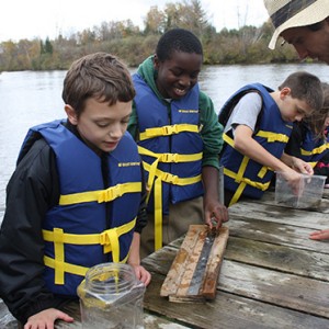 measuring fish