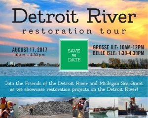 Reef-Restoration-Belle-Isle