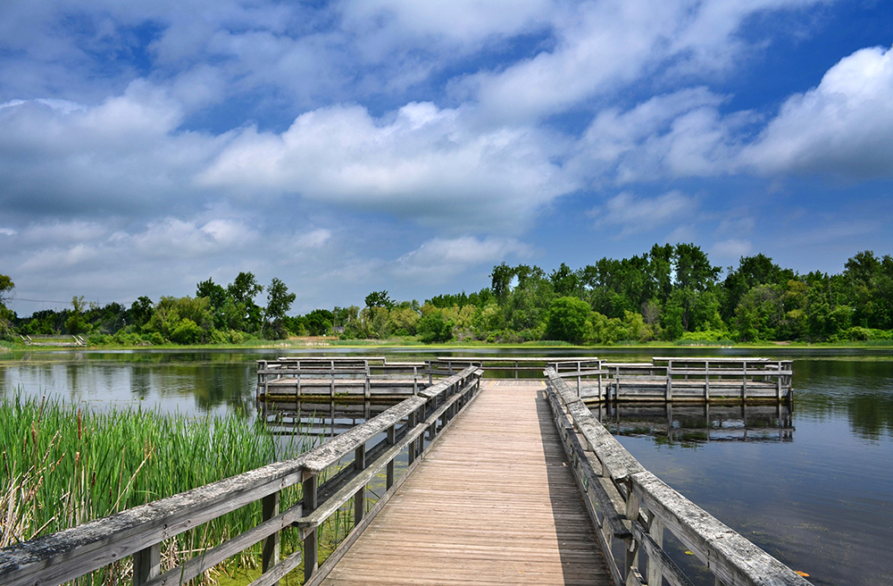 Extension educator position open in Saginaw Bay