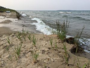 shoreline