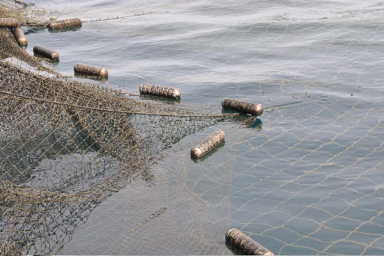 Nets of the Great Lakes Michigan Sea Grant