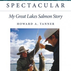 cover of book titled Something Spectacular