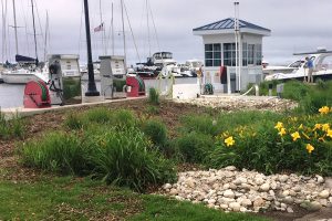 Clean Marina bioswale at Egg Harbor