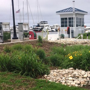 Clean Marina bioswale at Egg Harbor
