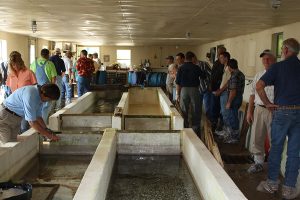 aquaculture biosecurity workshop