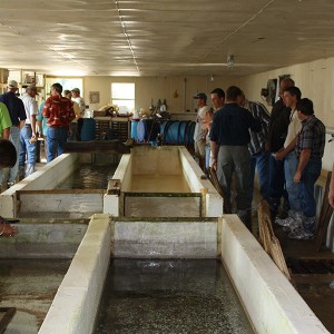 aquaculture biosecurity workshop