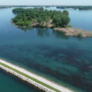 Celeron Island was completed in 2020. The project has added nearly 4,000 linear feet of shoals with a sand bar for nesting turtles, snake hibernacula, and common tern nesting areas. The shoals also protect over 100 acres of coastal wetlands with additional spawning habitat to encourage a robust fish population.