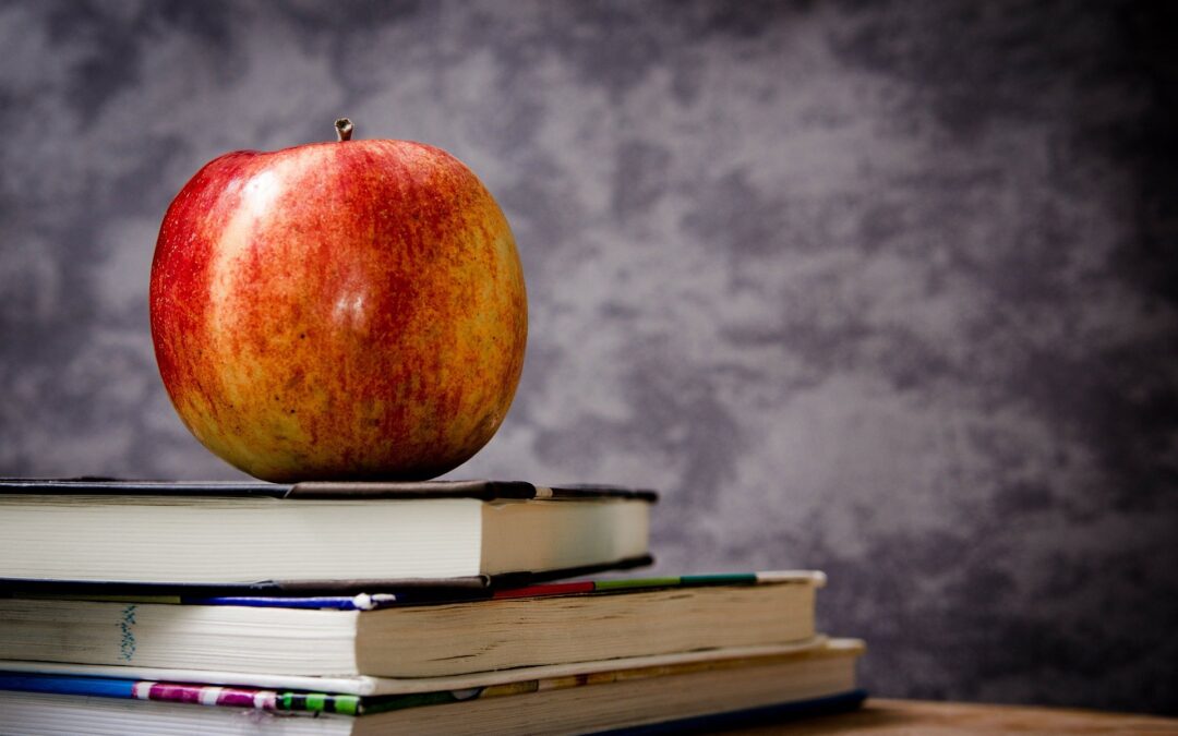 Michigan’s science teachers network, share resources at virtual conference