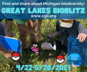BioBlitz header image - people in the field working on project