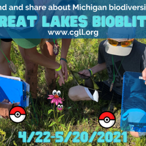 BioBlitz header image - people in the field working on project