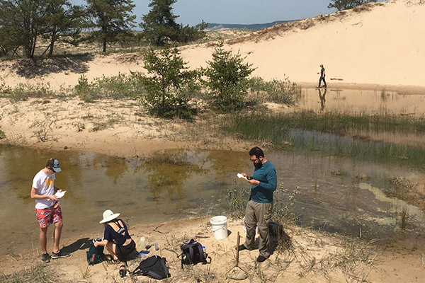Snakes and frogs and bugs, oh my! Understanding Michigan’s vulnerable interdunal wetlands
