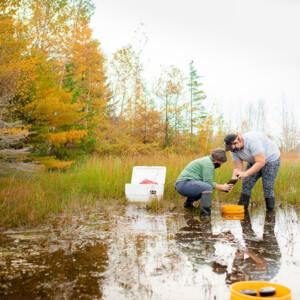 Erin Eberhard research project equipment on a wetland
