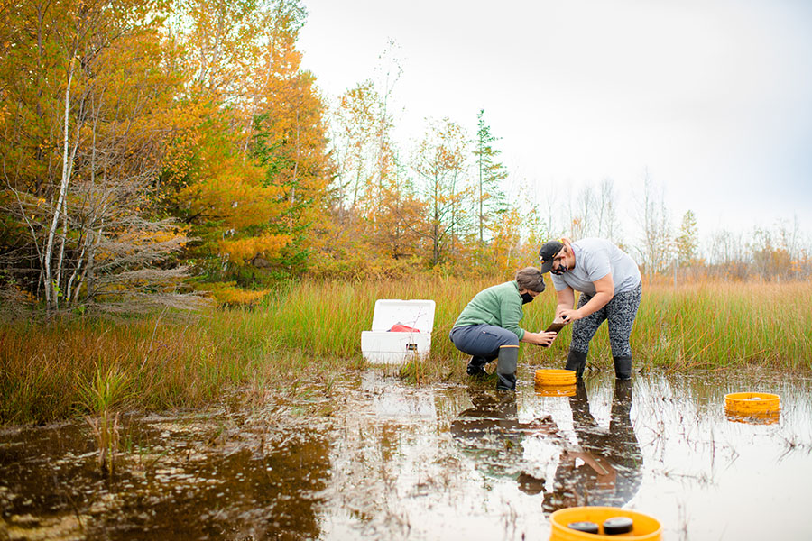 Getting their feet wet: Michigan Tech researchers investigate wetland nutrient cycles