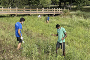 students working in the field