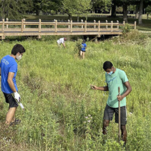 students working in the field