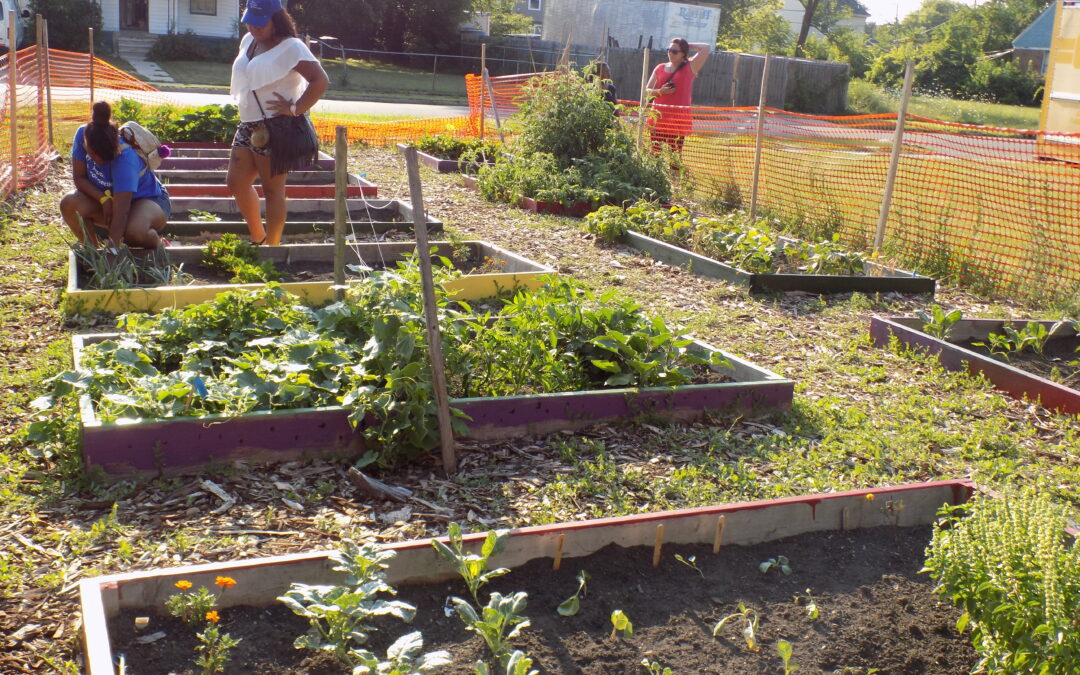Interns help restore a Detroit urban garden