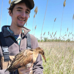 Brewer - Using Audio Playback to Attract Desired Migratory Bird Species to Restored Coastal Wetland