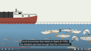 screen shot from the GLANSIS video series of a fishing boat with dead fish in the water