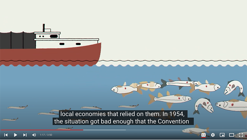 Video series highlights invasive species, their management – and some success stories