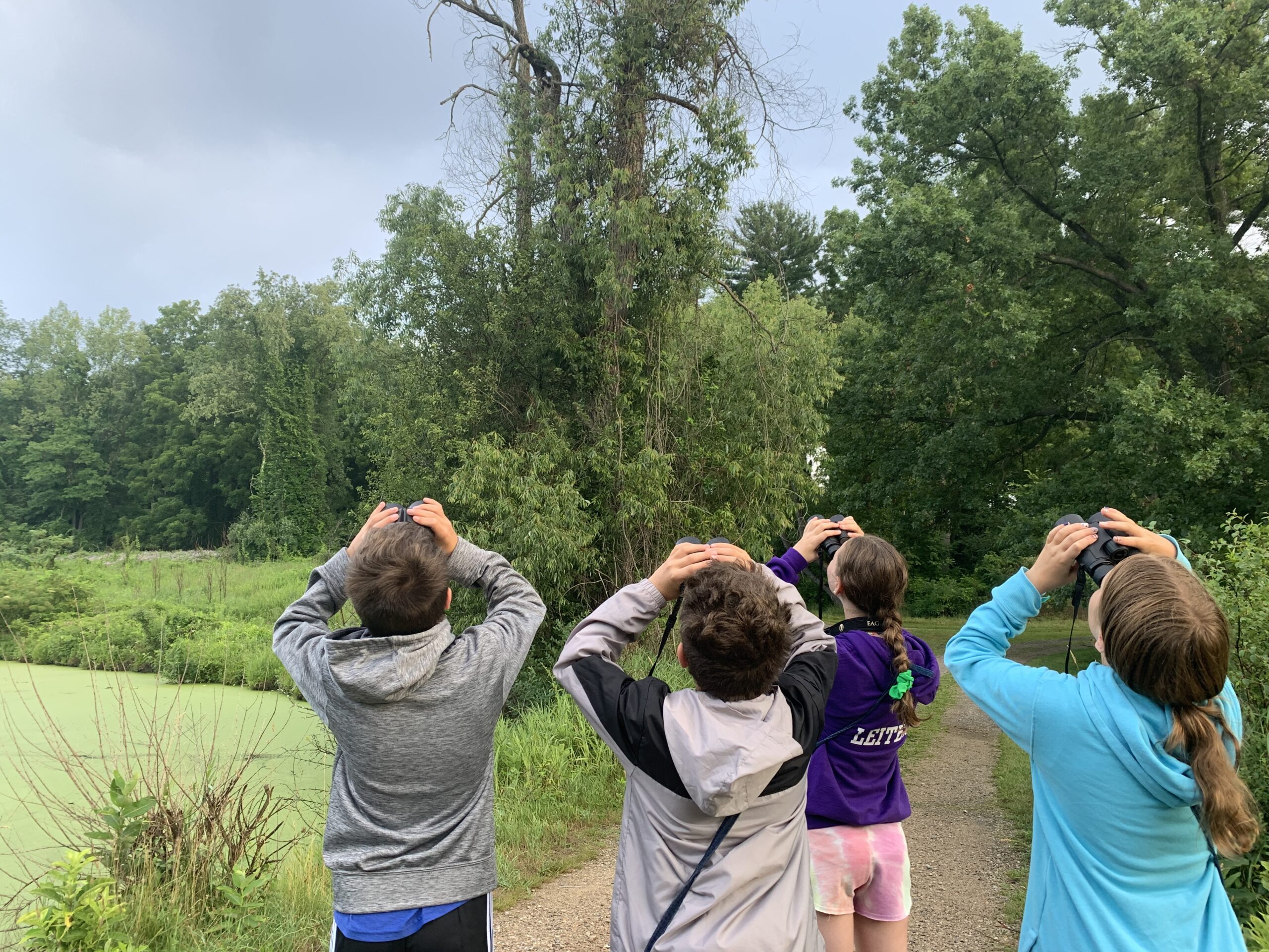 Four campers point their binoculars at a tree next to a pond