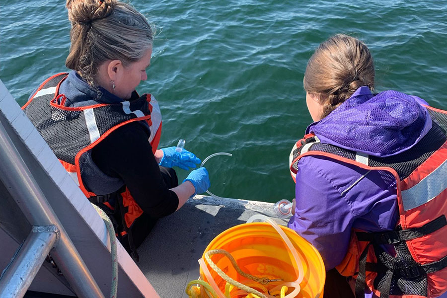Fish stomachs, air pollution, and glass-bottomed boats
