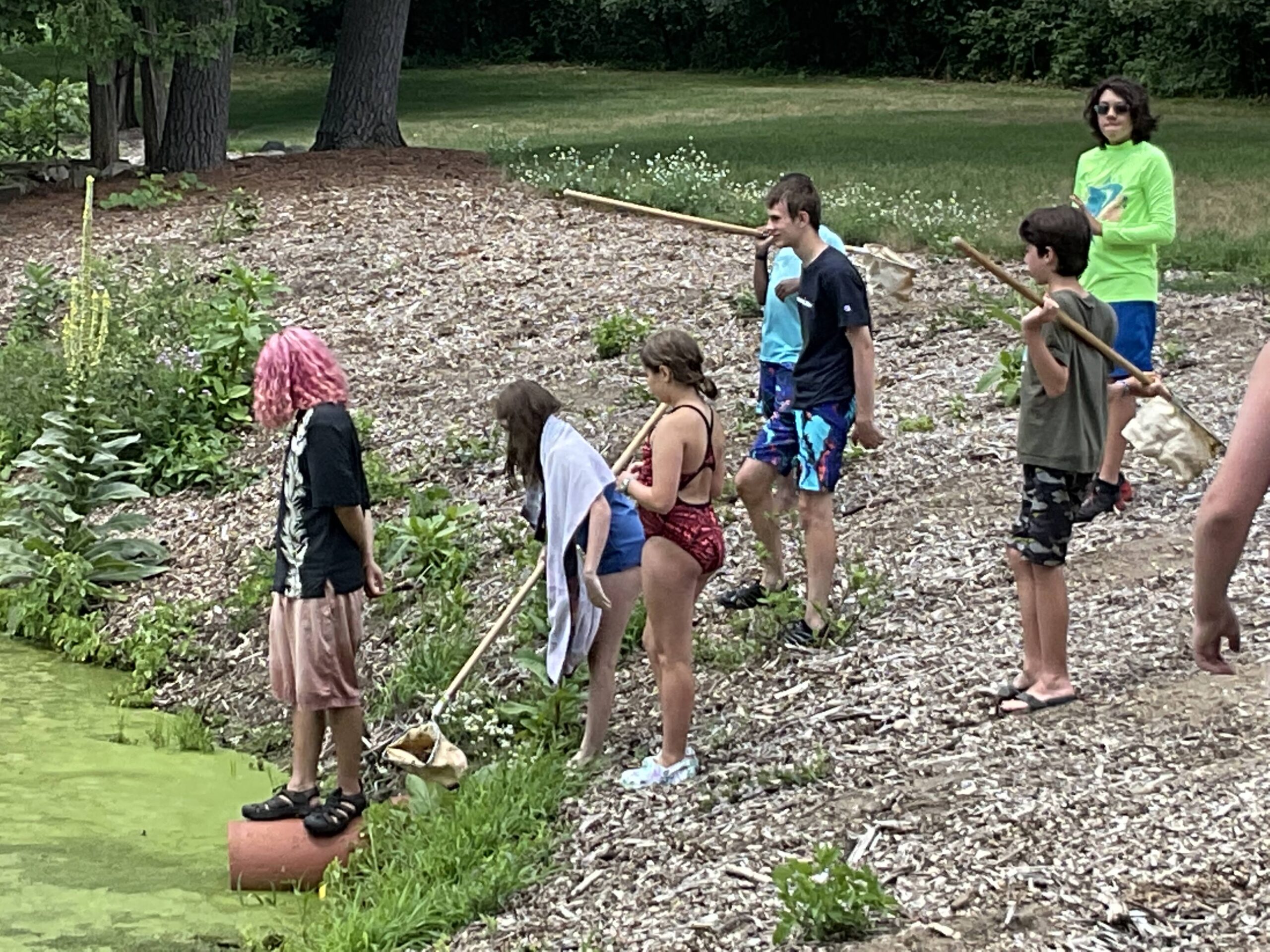 Campers in shorts and bathing suits stand at the edge of a pond with skimmers and nets