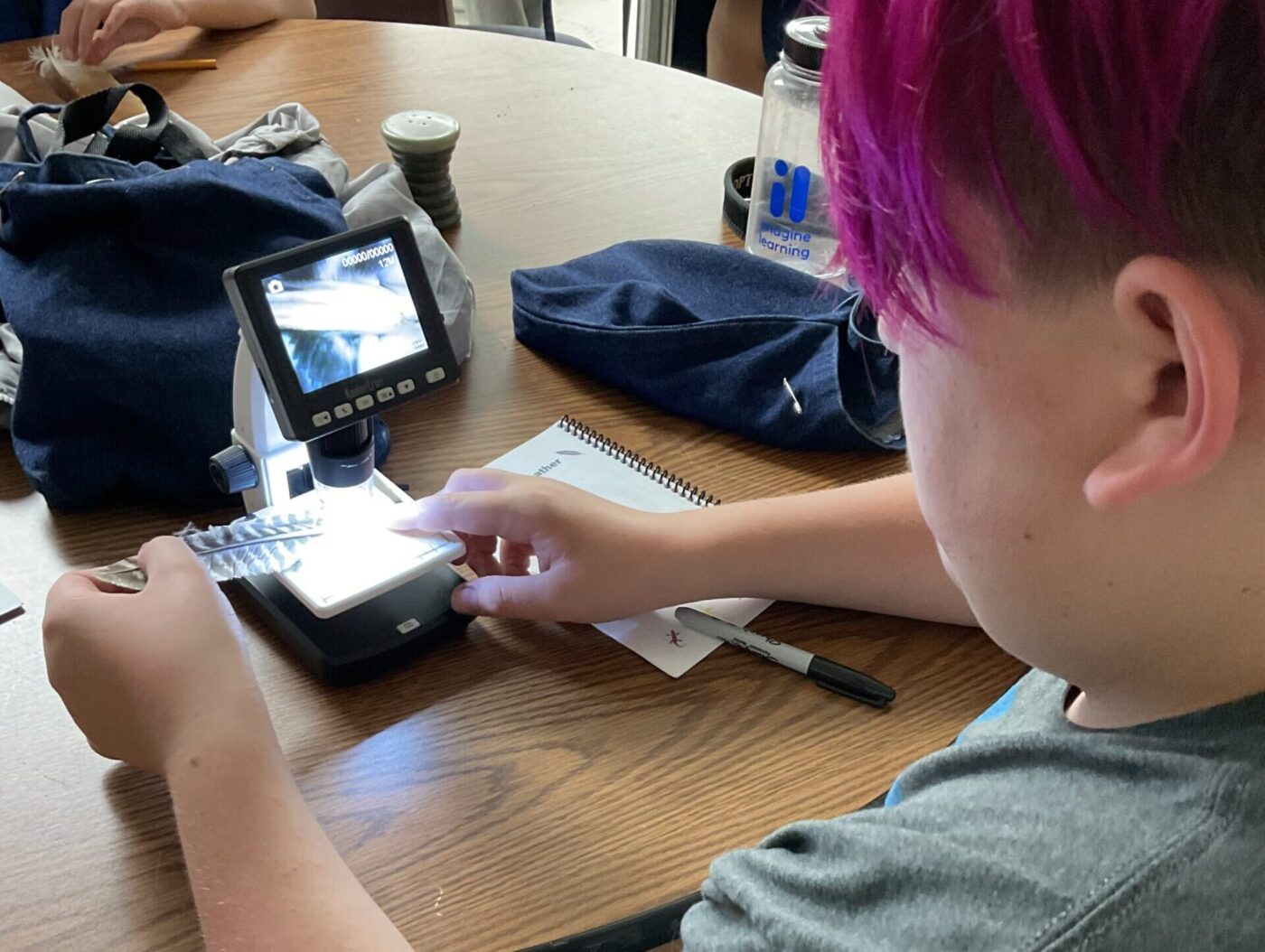 A camper looks at a striped feather under a microscope at a wooden table
