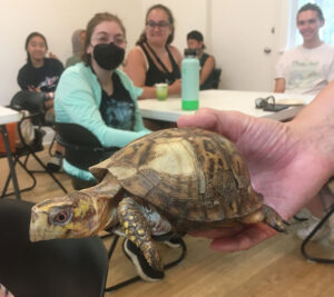turtle making the rounds at the School of Green event