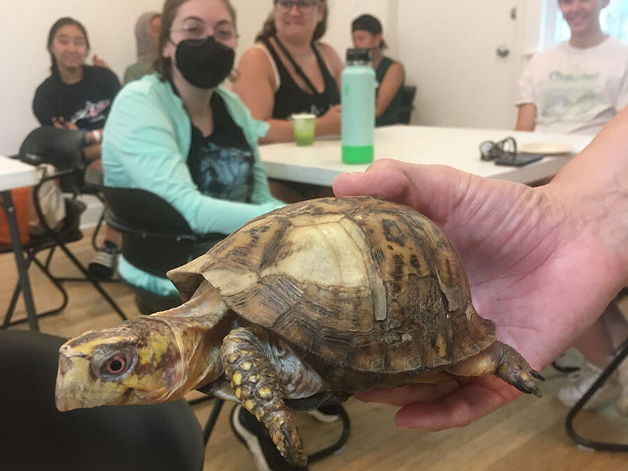 Frogs, toads, and snakes star in inaugural “School of Green” event