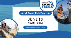 Mi Fresh Fish Expo ad