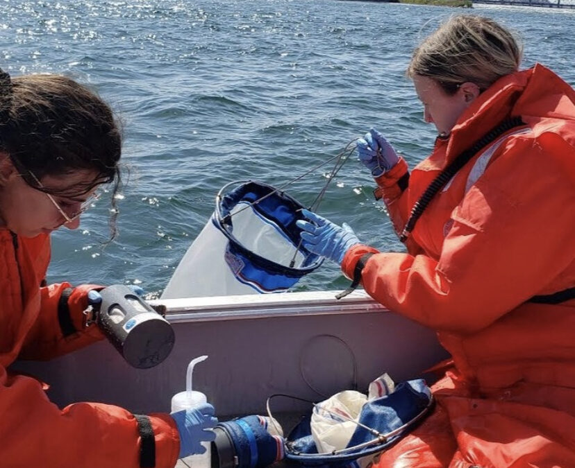 2023 summer intern cohort launches projects
