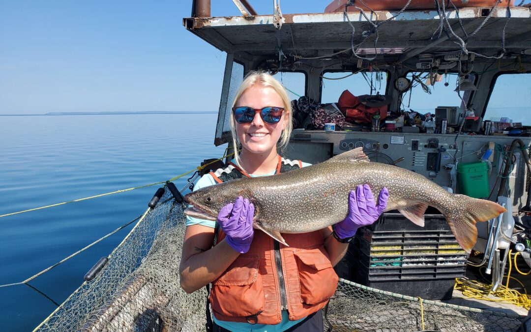 Intern update: Where are all the fish? Using acoustic telemetry to track lake trout in Lake Michigan