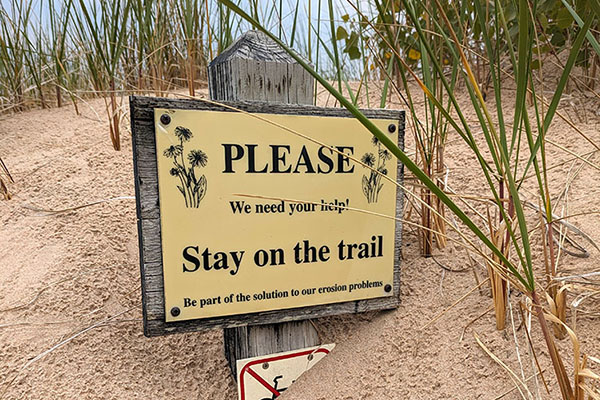 Intern update: Stay on the (formal) trail