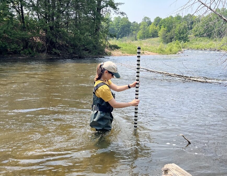 Intern Update: Lessons from whitefish