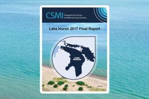 Image of the 2017 Lake Huron CSMI report cover