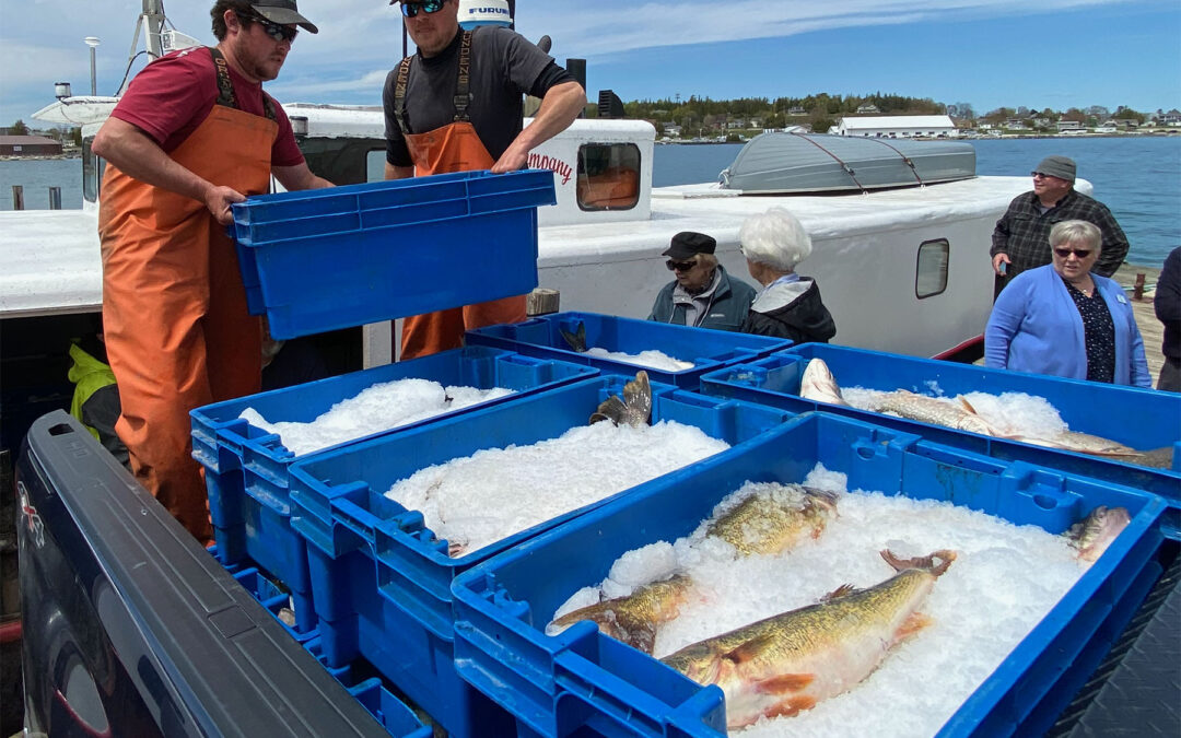 Supporting a resilient commercial fishing industry aids food and economic stability