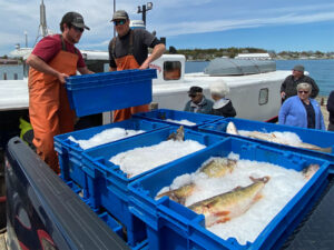 Commercial fishers loading their catch from the fishing vessel onto a truck for processing