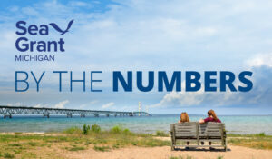 By the numbers graphic with two people sitting on a bench looking at the mackinac bridge on Lake Huron