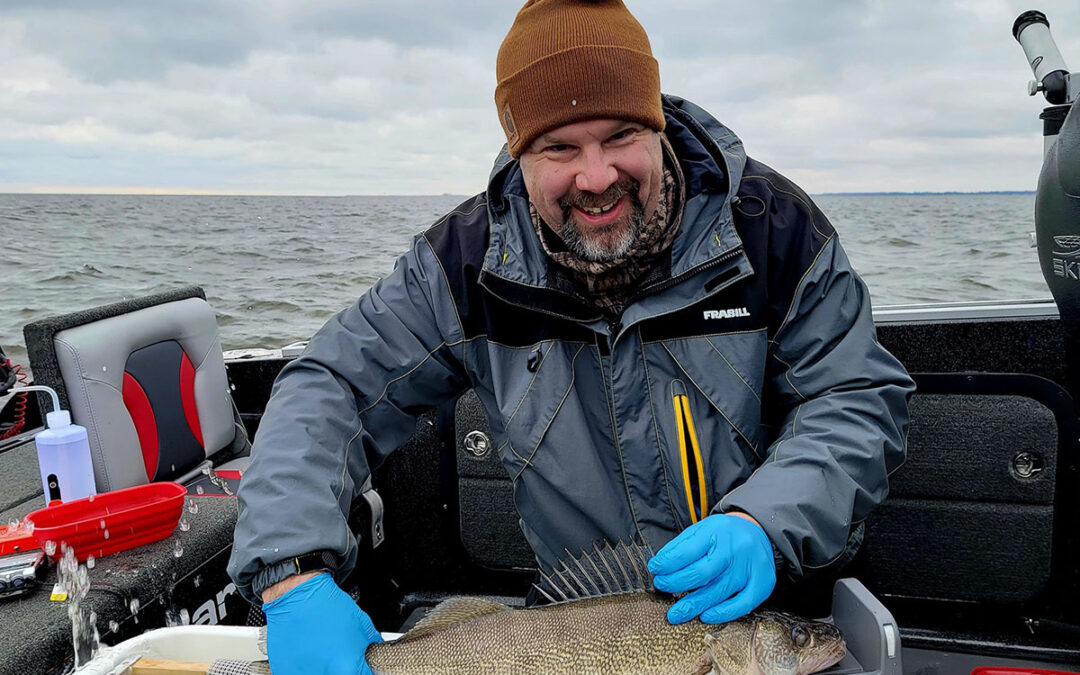 Researchers Work to Ensure Sustainable Walleye Populations in Saginaw Bay