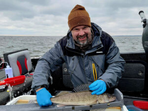 Chris Vandergoot, director of the GLATOS at Michigan State University, places an acoustic tracking tag onto a walleye. Credit: Tyler Funnel