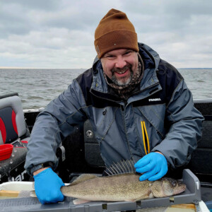 Chris Vandergoot, director of the GLATOS at Michigan State University, places an acoustic tracking tag onto a walleye. Credit: Tyler Funnel